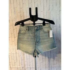 PacSun Denim jean shorts - 28